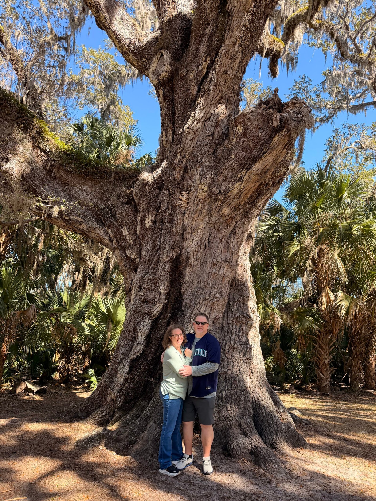 Two visitors posing at the massive base of the Fairchild Oak trunk, showing the tree